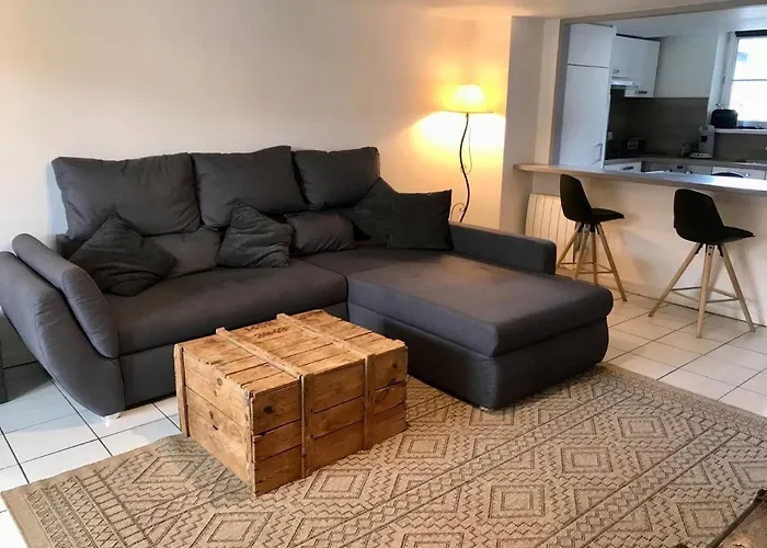 Appartement Plain-pied Avec Jardin Du Centre Alsace